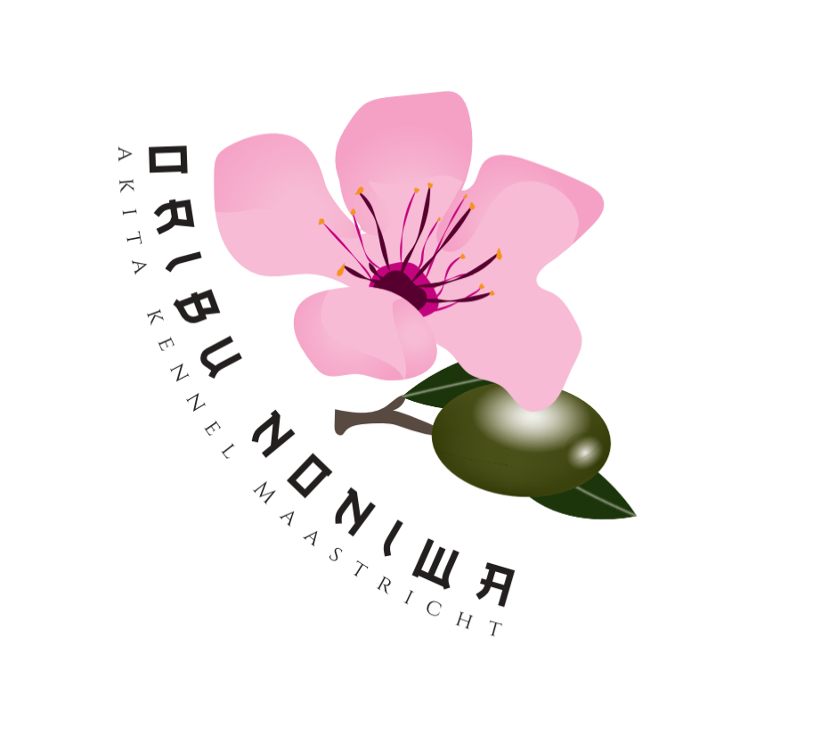 Oribu noniwa
